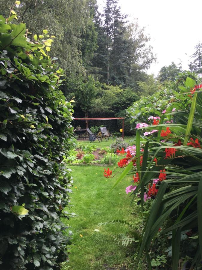 B&B Porcini Ermelo Dış mekan fotoğraf